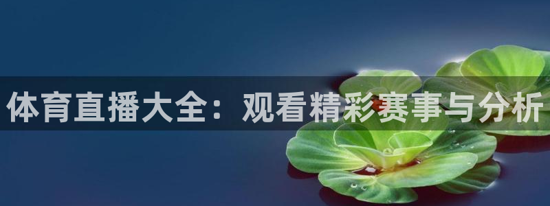 体育新闻