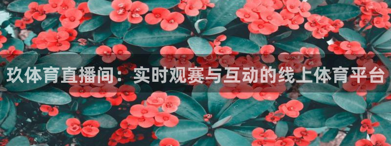 体育新闻