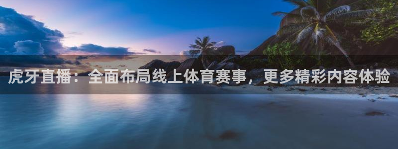 飞速直播体育