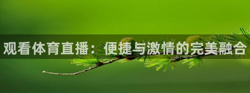 体育新闻